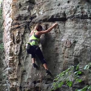 Meet your Posher, Betsy