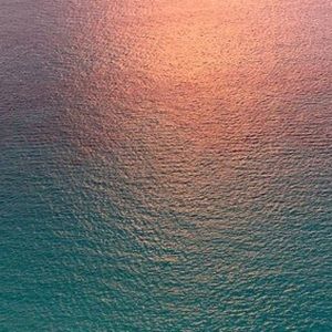 Meet your Posher, Lymar