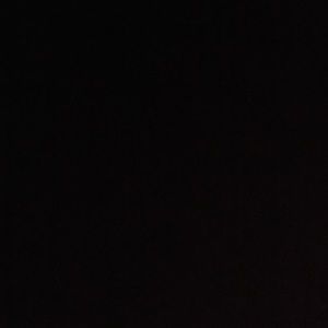 Meet your Posher, Gracie