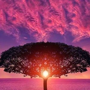 Meet your Posher, Stefanie