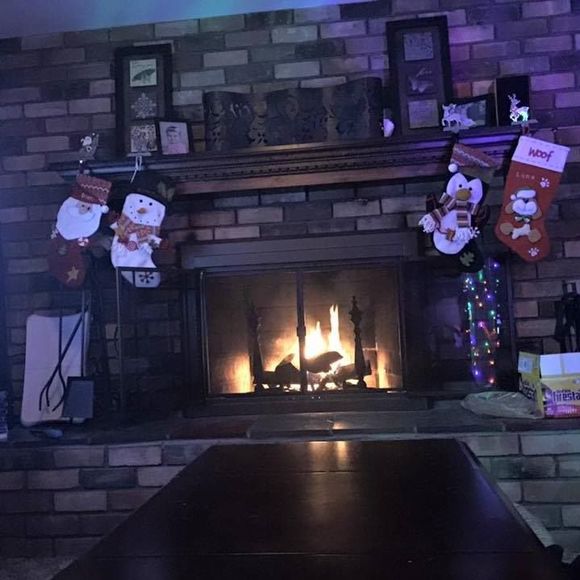 Meet your Posher, Kerianne - Picture 1 of 1