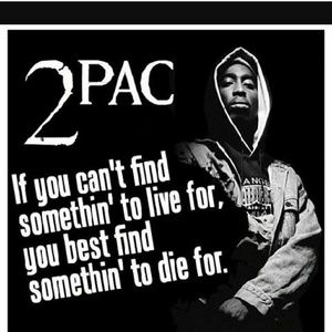 Meet your Posher, Dorothy