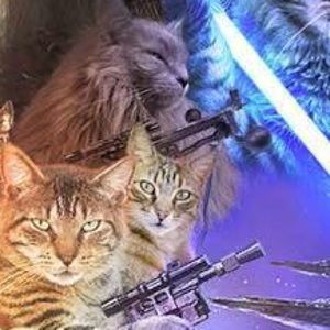 Meet your Posher, Jean