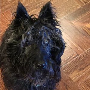 Meet your Posher, Caroline