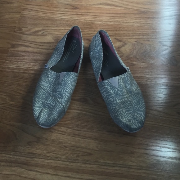 Toms!🐨