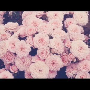 Meet your Posher, Skye