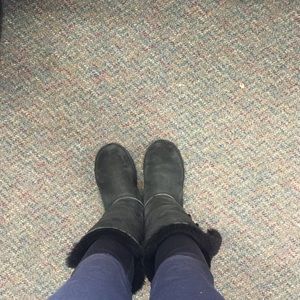 Meet your Posher, Holly