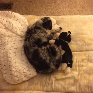 Meet your Posher, Audrey