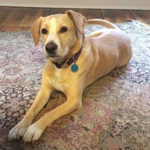 Meet your Posher, Tiffany