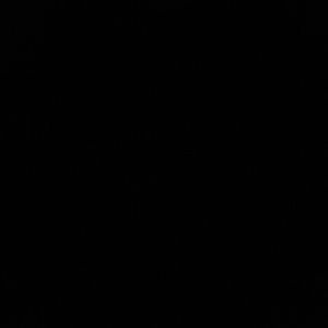 Meet your Posher, Shane