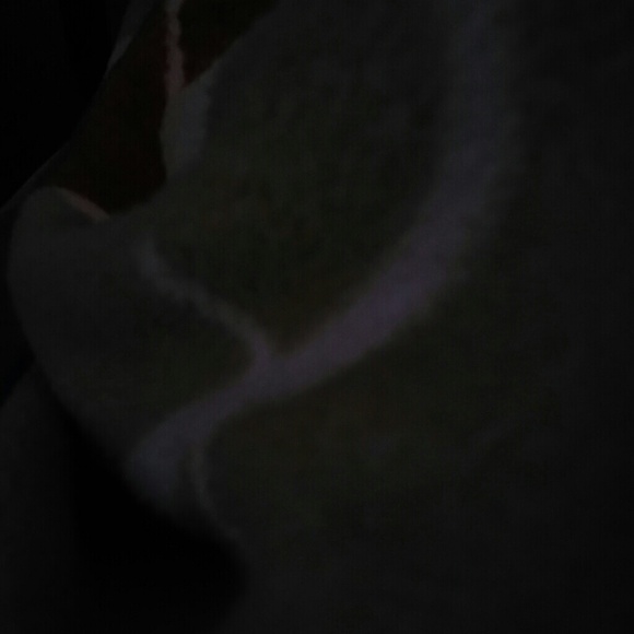 Meet your Posher, Ansleigh - Picture 1 of 1