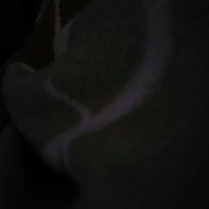 Meet your Posher, Ansleigh