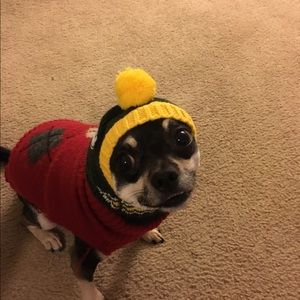 Meet your Posher, Ashy