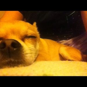 Meet your Posher, Maria