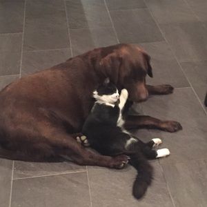 Meet your Posher, Elizabeth