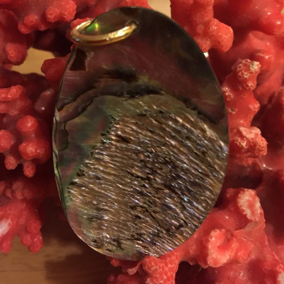 Abalone pendent - Picture 2 of 3