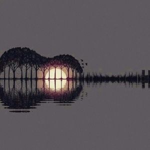 Meet your Posher, Dillon