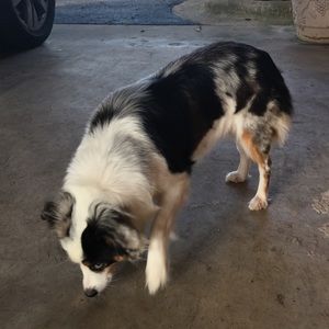 Meet your Posher, Paula