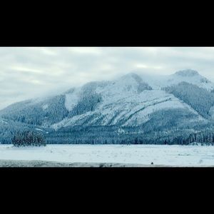 Meet your Posher, Bailey