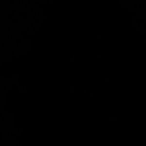 Meet your Posher, Florence