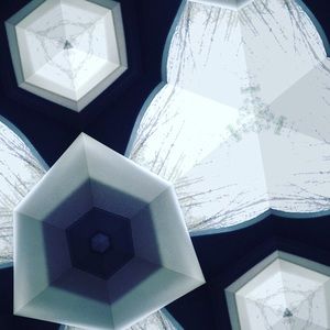 Meet your Posher, Callie