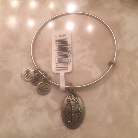 Alex and Ani bracelet