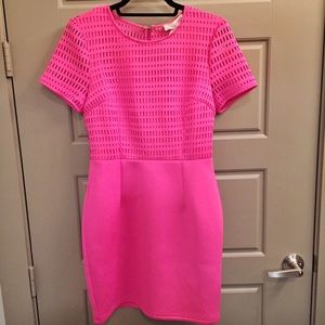 Pink Mesh Top Dress