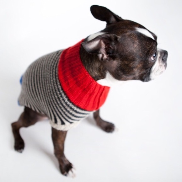 Dog sweater