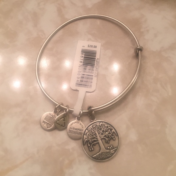 Alex and Ani bangle