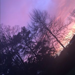 Meet your Posher, Kylee