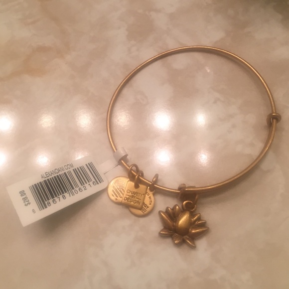 Alex and Ani bundle