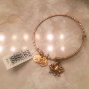 Alex and Ani bundle