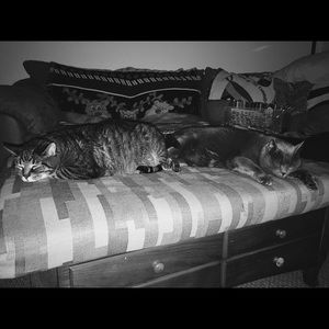 Meet your Posher, Betsy