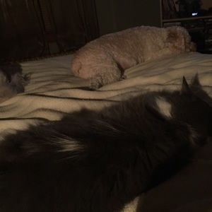 Meet your Posher, Eileen