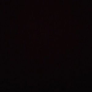 Meet your Posher, Angelina