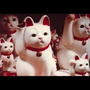 Meet your Posher, Alice