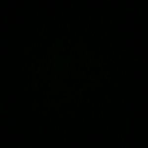 Meet your Posher, Cam