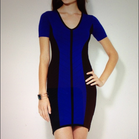 Torn by Ronny Kobo Caterina Combo Pointelle Dress