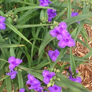 Meet your Posher, Kathleen