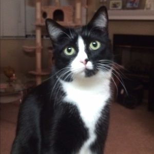 Meet your Posher, Erica