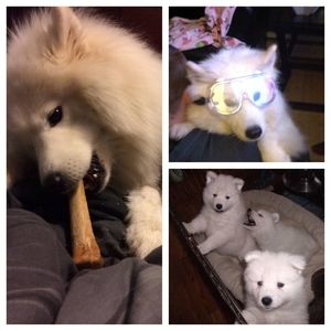 Meet your Posher, Michelle