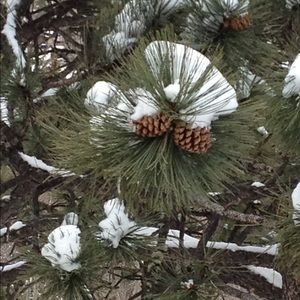 Meet your Posher, Alexandria