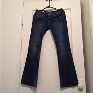 Vigoss New York Boot Cut