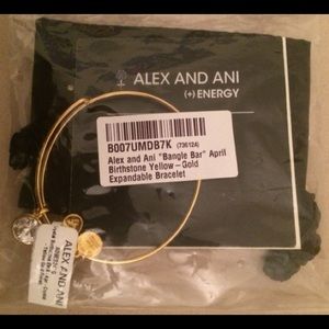 Beautiful Alex and Ani Bangle Bar/Birthstone April