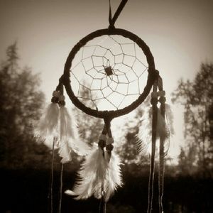 Meet your Posher, Cierra