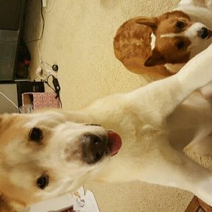 Meet your Posher, Te