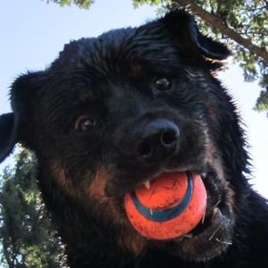 Meet your Posher, Colleen