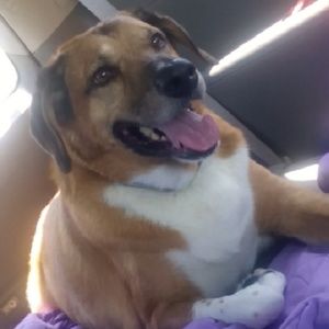 Meet your Posher, Juleeana