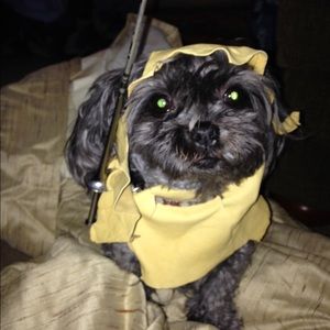 Meet your Posher, Joni