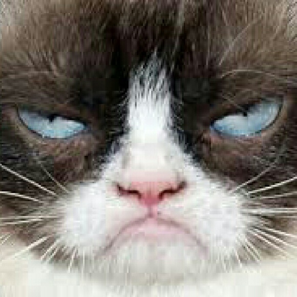 Meet your Posher, Candace - Picture 1 of 1